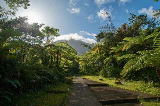 Prendre la route en Guadeloupe sans mauvaise surprise Prendre la route en Guadeloupe sans mauvaise surprise