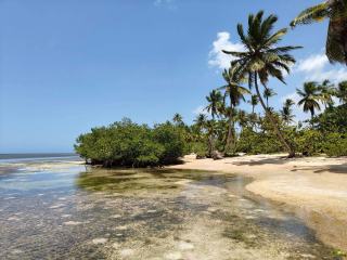 Grande-Terre ou Basse-Terre pour un premier voyage ?