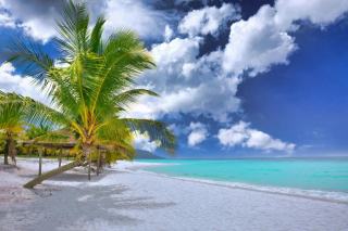 Anse bertrand en Guadeloupe : eau turquoise et sable fin