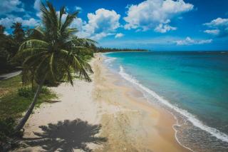 Plage guadeloupe carte en Guadeloupe : eau turquoise et sable fin