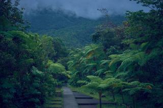 Guadeloupe climat : températures et prévisions en Guadeloupe