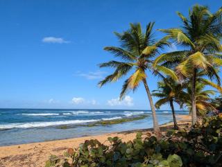 Thalassa guadeloupe en Guadeloupe : guide de la commune