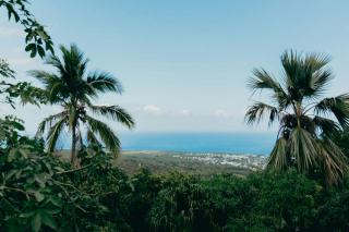 Goyave guadeloupe en Guadeloupe : guide de la commune