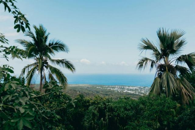 Goyave guadeloupe : découvrir cette commune de Guadeloupe