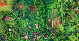 Guadeloupe haute terre en Guadeloupe : guide de la commune