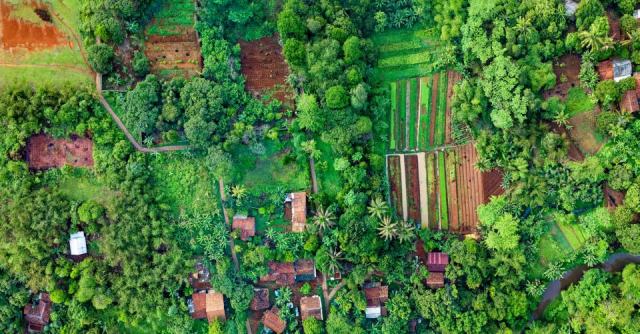 Guadeloupe haute terre : découvrir cette commune de Guadeloupe Guadeloupe haute terre : découvrir cette commune de Guadeloupe