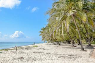 Lamentin guadeloupe plage : plage de Guadeloupe