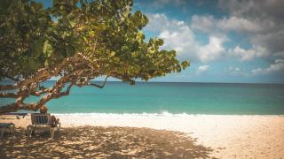 Plage de la ramée guadeloupe : plage de Guadeloupe