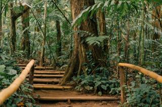 Randonnée guadeloupe en Guadeloupe : sentiers et parcs naturels