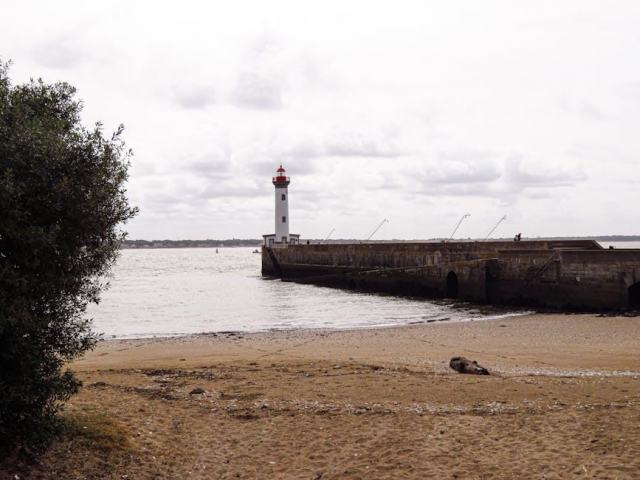 Anse Ã  la barque guadeloupe : une plage de Guadeloupe Ã  ne pas manquer