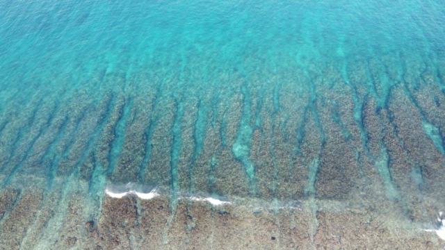 Location de voiture en Guadeloupe : guide pratique et comparatif