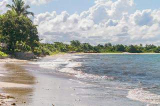 Météo baie mahault : températures et prévisions en Guadeloupe