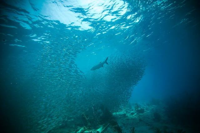 Météo en Guadeloupe : tout savoir sur bouillante Météo en Guadeloupe : tout savoir sur bouillante