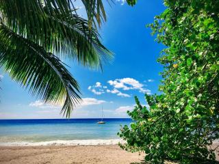 Météo bouillante : températures et prévisions en Guadeloupe