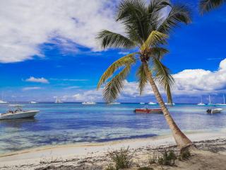 Deshaies météo : températures et prévisions en Guadeloupe
