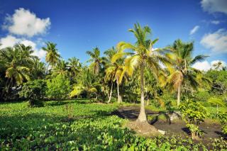 Météo guadeloupe avril : températures et prévisions en Guadeloupe