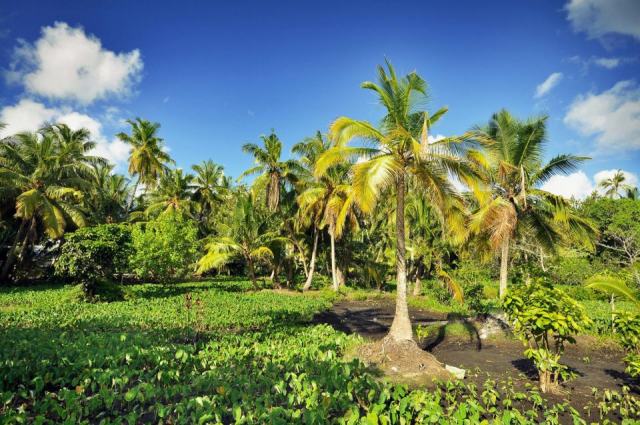 Météo en Guadeloupe : tout savoir sur avril Météo en Guadeloupe : tout savoir sur avril