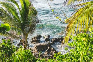 Guadeloupe météo janvier : prévisions en Guadeloupe