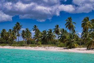 Guadeloupe en juin : températures et prévisions en Guadeloupe