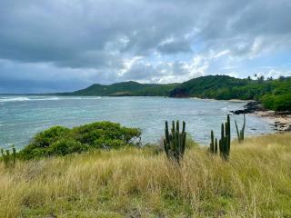 Octobre en guadeloupe : températures et prévisions en Guadeloupe