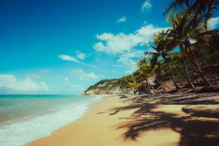 Météo guadeloupe aout : températures et prévisions en Guadeloupe