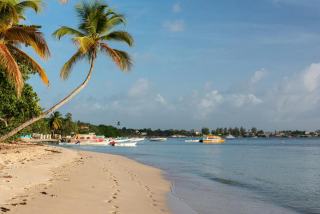 Météo petit bourg : températures et prévisions en Guadeloupe