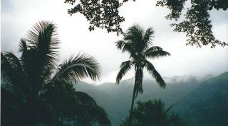 Météo saint claude guadeloupe : prévisions en Guadeloupe