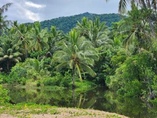 Météo trois rivières guadeloupe : prévisions en Guadeloupe