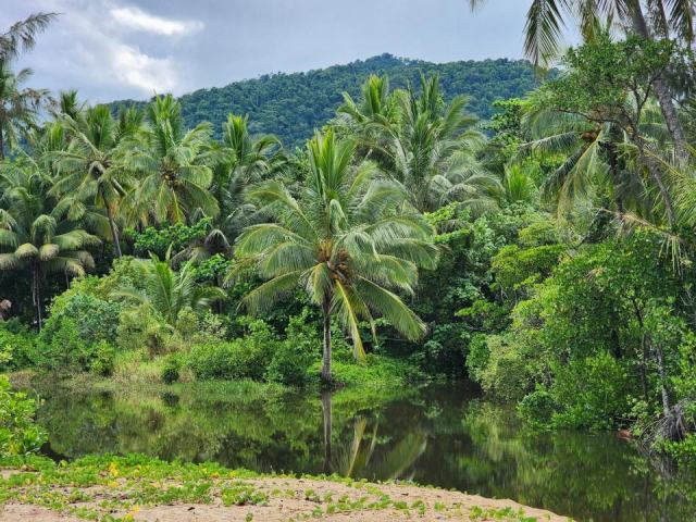 Météo en Guadeloupe : tout savoir sur trois rivières Météo en Guadeloupe : tout savoir sur trois rivières