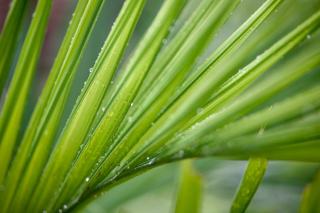 Carte Guadeloupe — saint-martin/meteoj1.php