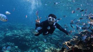 Source chaude guadeloupe : plage de Guadeloupe