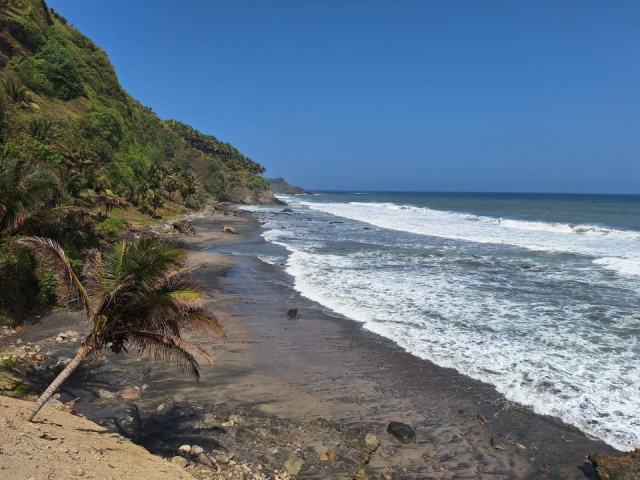 Plage bananier guadeloupe : une plage de Guadeloupe à ne pas manquer