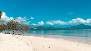 Plage de bananier en Guadeloupe : eau turquoise et sable fin