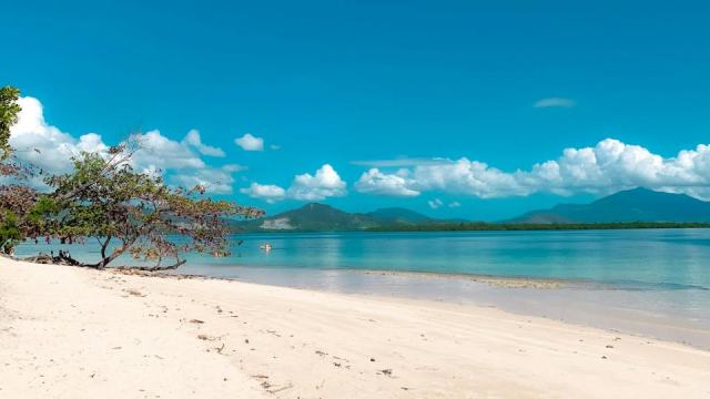 Plage de bananier : une plage de Guadeloupe à ne pas manquer Plage de bananier : une plage de Guadeloupe à ne pas manquer