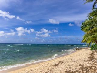 Plage de bananier en Guadeloupe : eau turquoise et sable fin