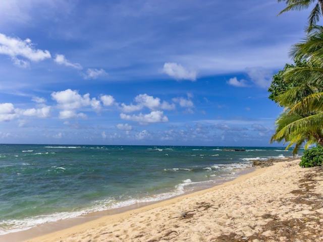 Plage de bananier : une plage de Guadeloupe à ne pas manquer Plage de bananier : une plage de Guadeloupe à ne pas manquer