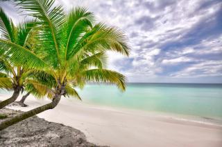Capesterre-belle-eau plage : plage de Guadeloupe