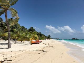 Plage de roseau en Guadeloupe : eau turquoise et sable fin