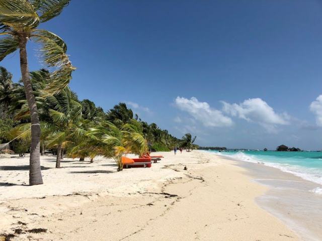 Plage de roseau : une plage de Guadeloupe à ne pas manquer Plage de roseau : une plage de Guadeloupe à ne pas manquer