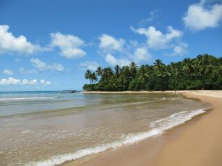 Plage de roseau en Guadeloupe : eau turquoise et sable fin