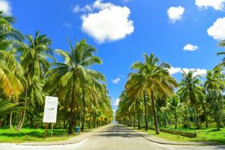 Allée dumanoir guadeloupe : plage de Guadeloupe