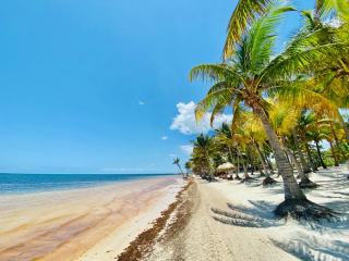 Plage ferry guadeloupe en Guadeloupe : eau turquoise et sable fin