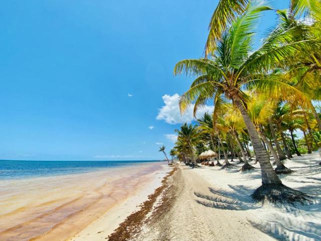 Plage ferry guadeloupe : une plage de Guadeloupe à ne pas manquer