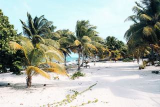 Deshaies plage en Guadeloupe : eau turquoise et sable fin