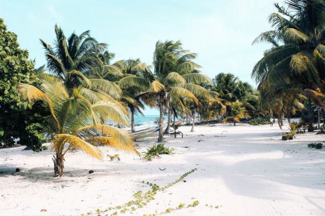 Deshaies plage : une plage de Guadeloupe à ne pas manquer Deshaies plage : une plage de Guadeloupe à ne pas manquer