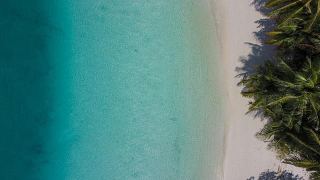 Plage de la perle deshaies guadeloupe : guide de la plage