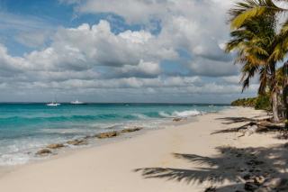 Anse tabarin en Guadeloupe : eau turquoise et sable fin