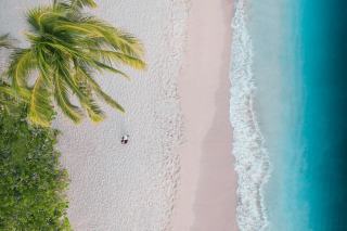 Anse vinaigri en Guadeloupe : eau turquoise et sable fin