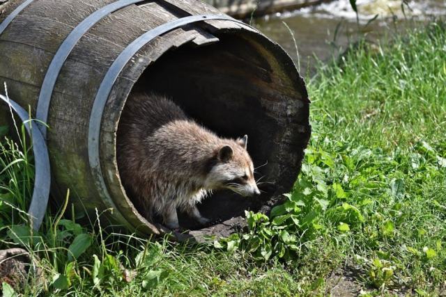 Plage le moule : une plage de Guadeloupe Ã  ne pas manquer