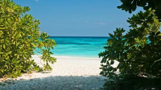 Plage de viard en Guadeloupe : eau turquoise et sable fin